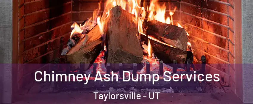  Chimney Ash Dump Services Taylorsville - UT
