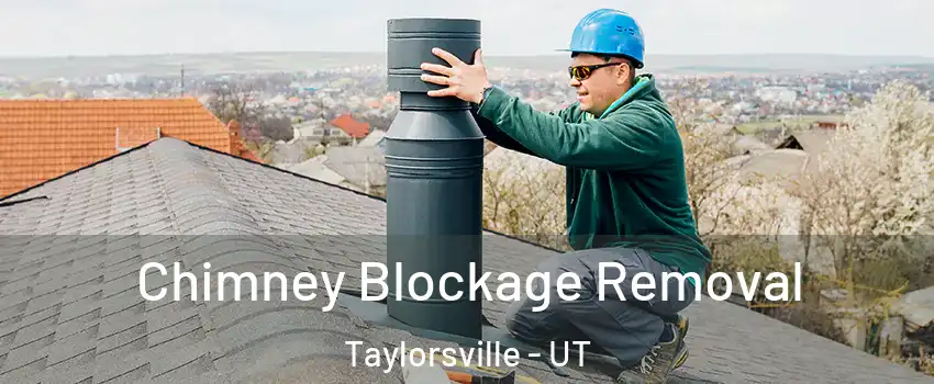  Chimney Blockage Removal Taylorsville - UT