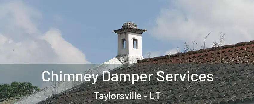  Chimney Damper Services Taylorsville - UT