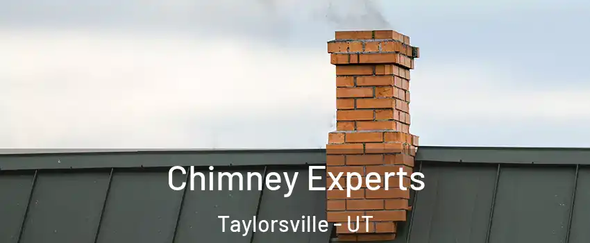 Chimney Experts Taylorsville - UT