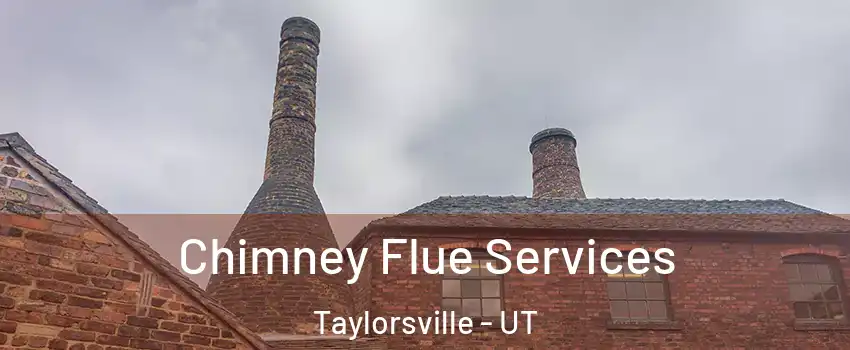  Chimney Flue Services Taylorsville - UT