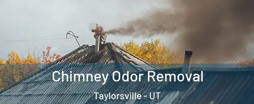  Chimney Odor Removal Taylorsville - UT