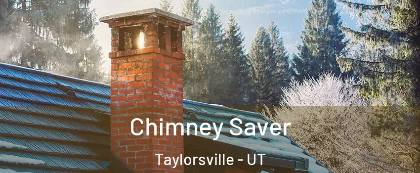  Chimney Saver Taylorsville - UT