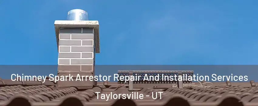  Chimney Spark Arrestor Repair And Installation Services Taylorsville - UT