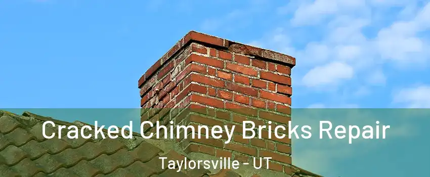  Cracked Chimney Bricks Repair Taylorsville - UT