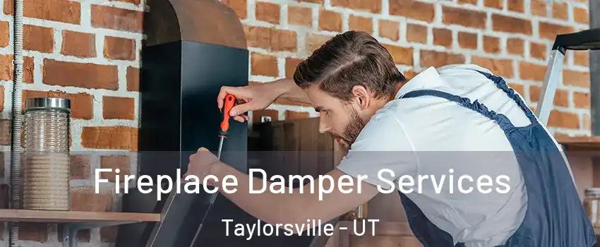  Fireplace Damper Services Taylorsville - UT