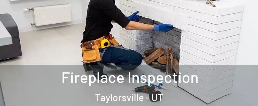  Fireplace Inspection Taylorsville - UT