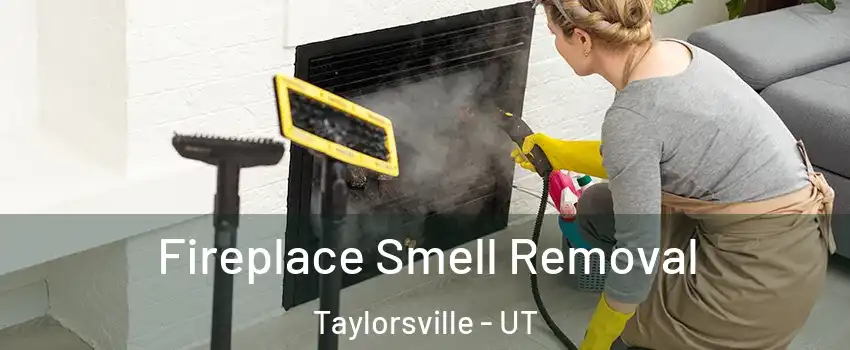  Fireplace Smell Removal Taylorsville - UT