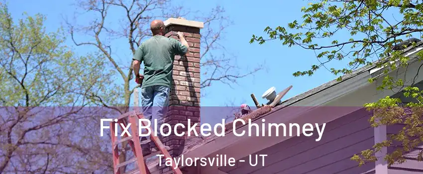  Fix Blocked Chimney Taylorsville - UT