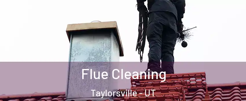  Flue Cleaning Taylorsville - UT