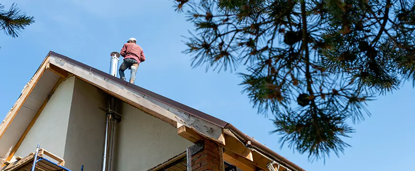 Birds Removal Contractors from Chimney in Taylorsville, UT