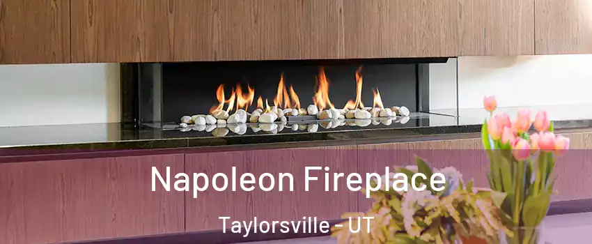  Napoleon Fireplace Taylorsville - UT