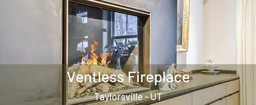 Ventless Fireplace Taylorsville - UT